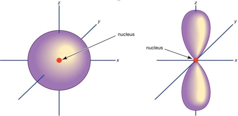 The shape of the s orbital and pz orbital